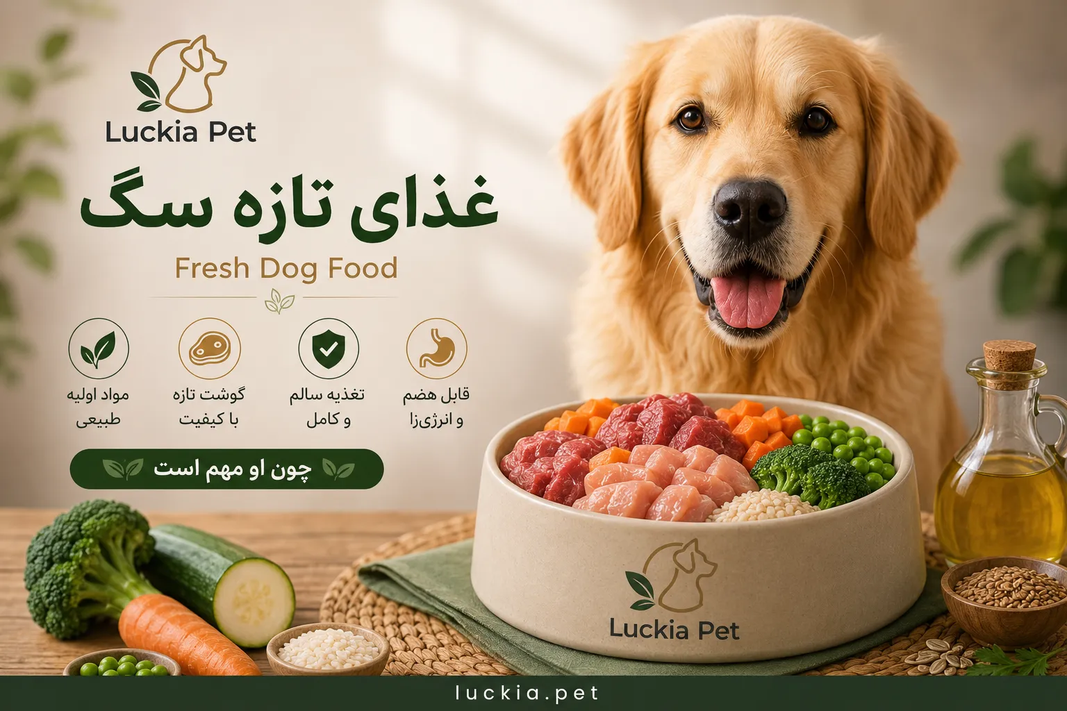 Fresh Dog Food