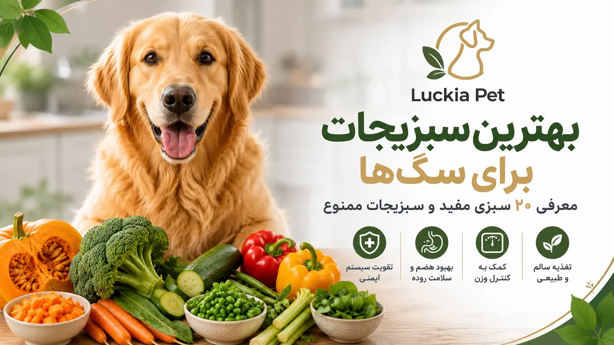 بهترین سبزیجات برای سگ‌ها