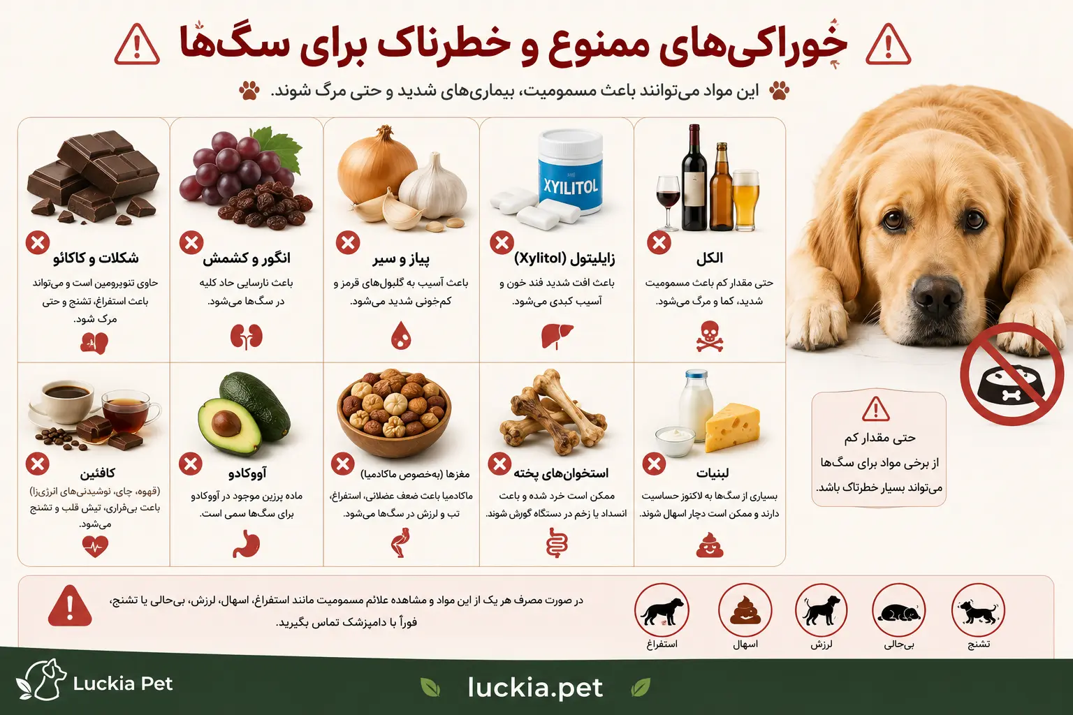 خوراکی‌های ممنوع و خطرناک برای سگ‌ها
