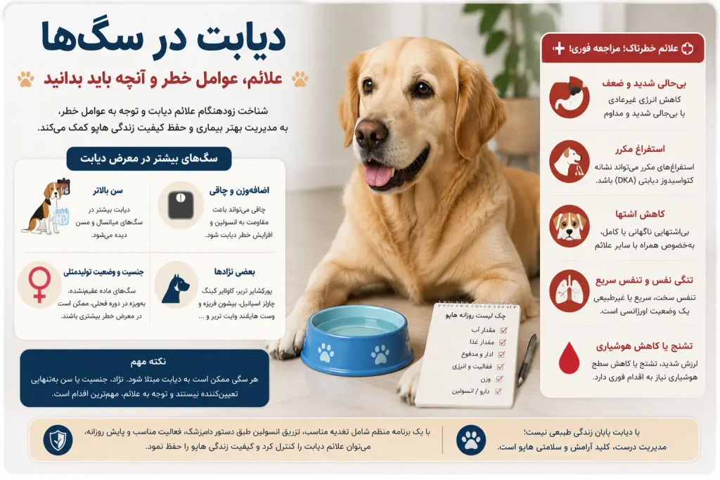 دیابت در سگ‌ها علائم و پیشگیری