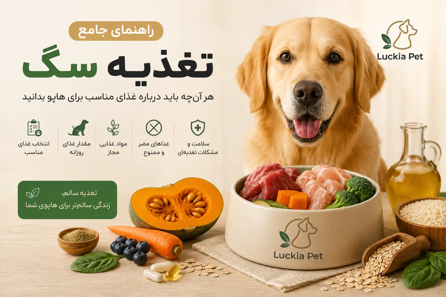 راهنمای جامع تغذیه سگ و اصول انتخاب غذای مناسب