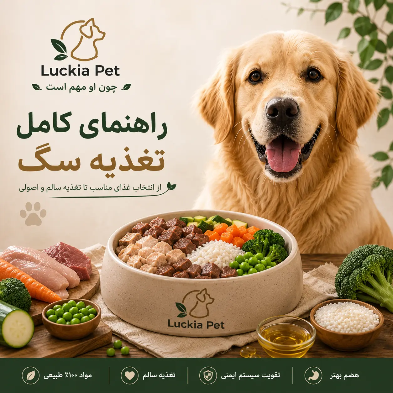 راهنمای جامع تغذیه سگ