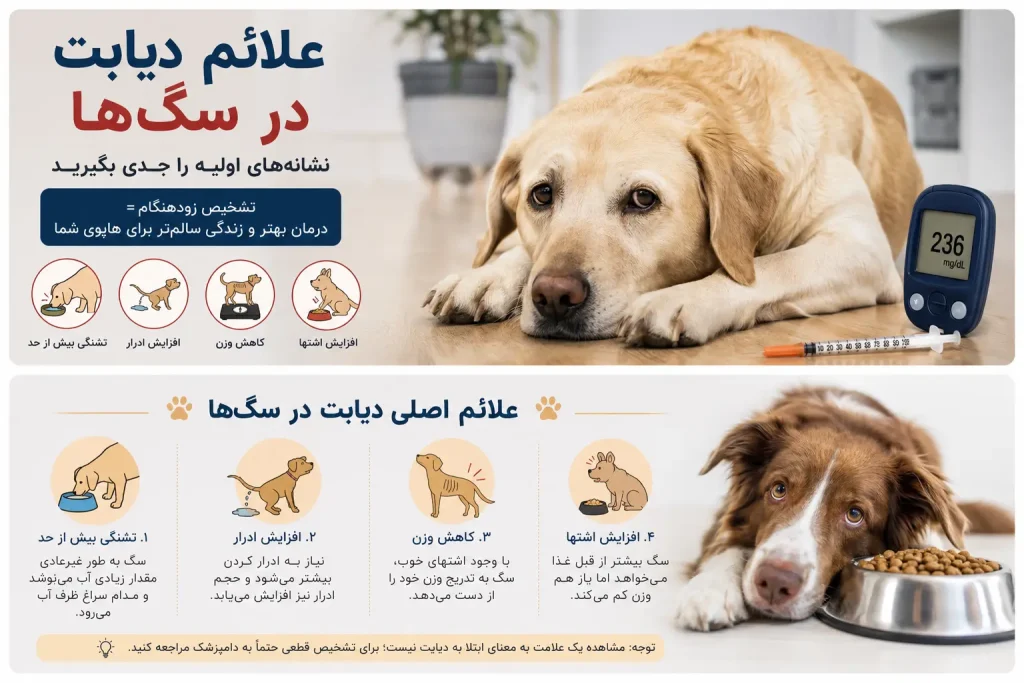 علائم دیابت در سگ ها