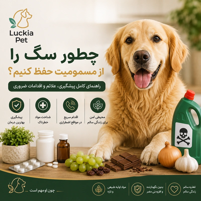 مسمومیت سگ
