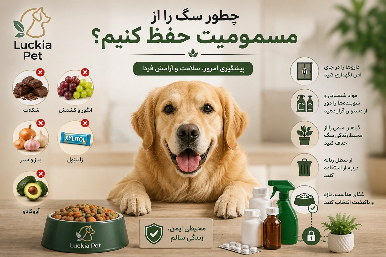 مسمومیت سگ