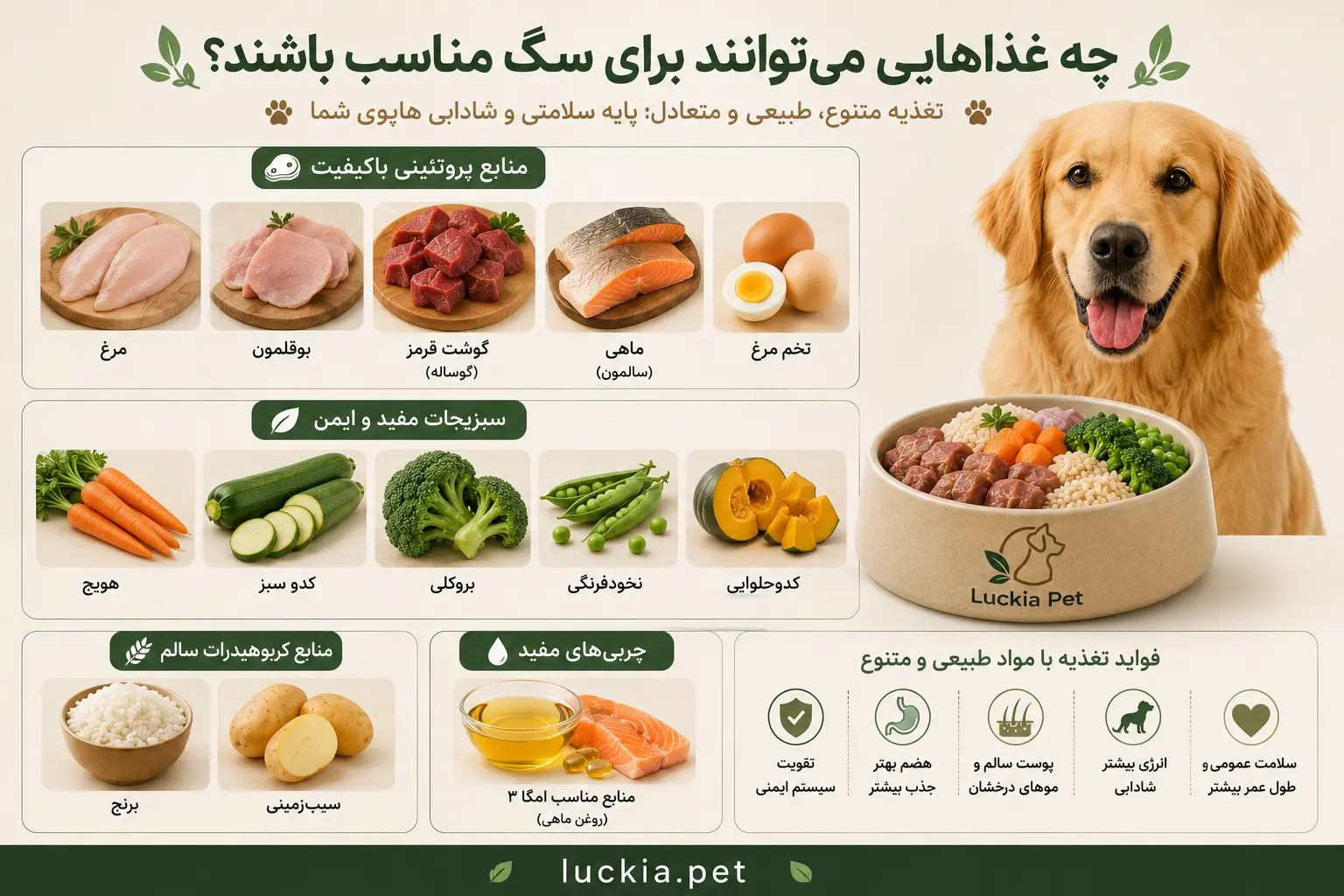 مواد غذایی مفید برای سگ