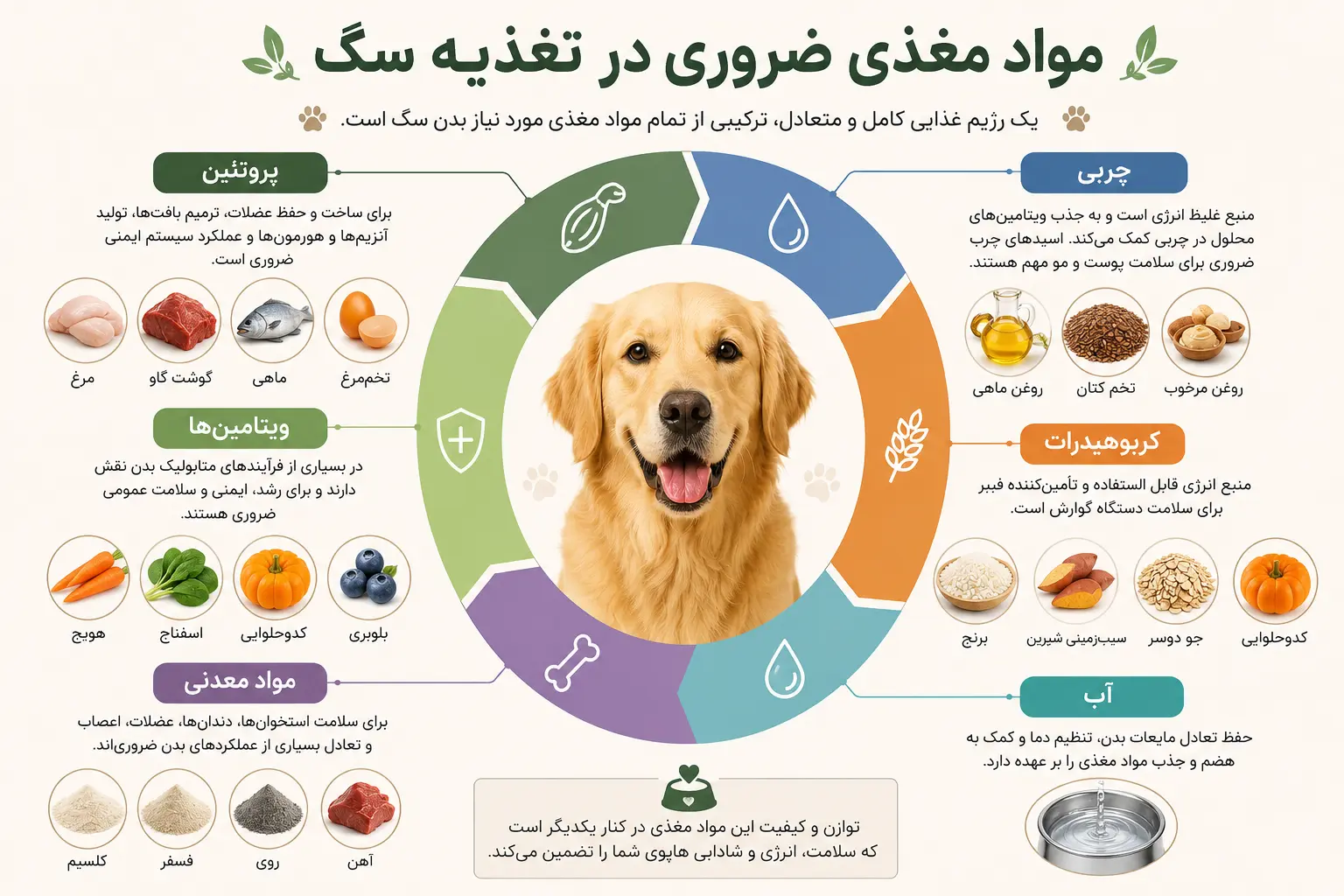 مواد مغذی ضروری در تغذیه سگ