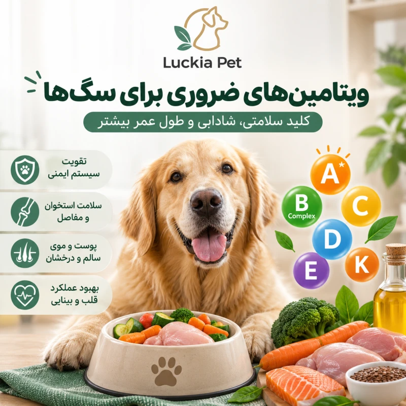 ویتامین_های-ضروری-برای-سگ_ها