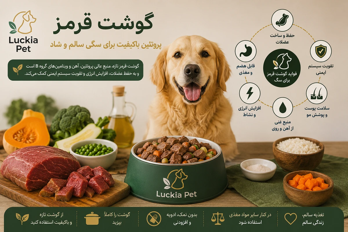 گوشت برای سگ