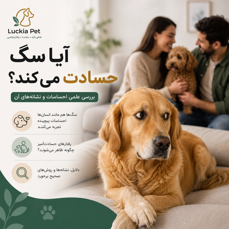آیا سگ حسادت میکند؟