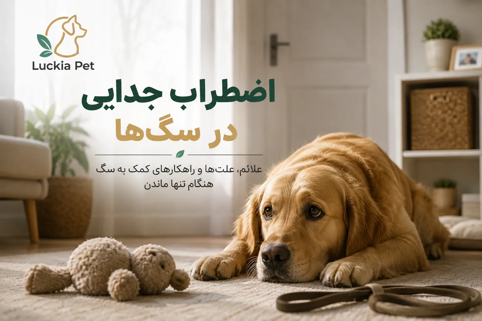 اضطراب جدایی در سگ