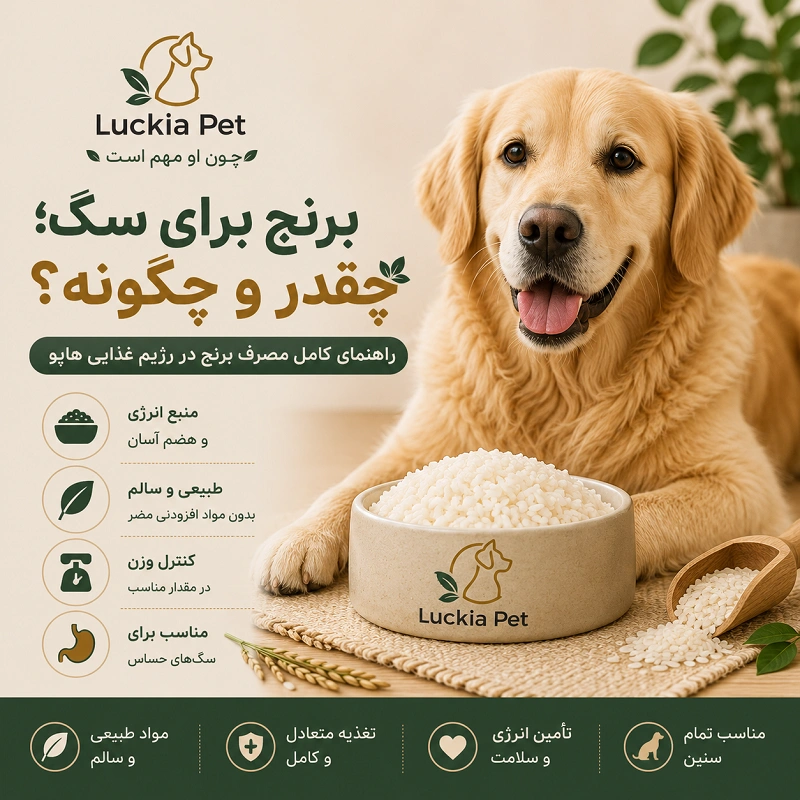 برنج برای سگ