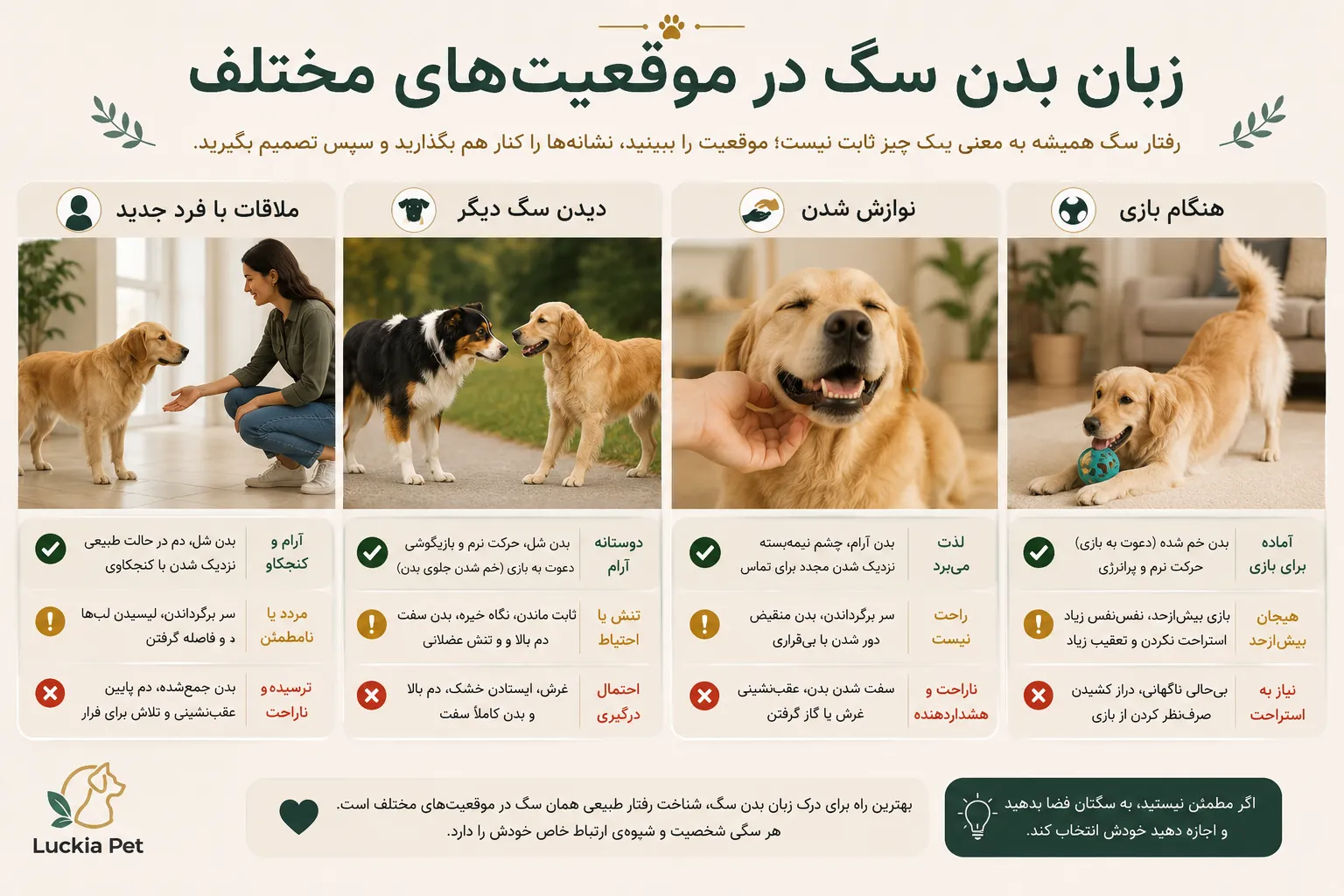 زبان بدن سگ در موقعیت‌های مختلف