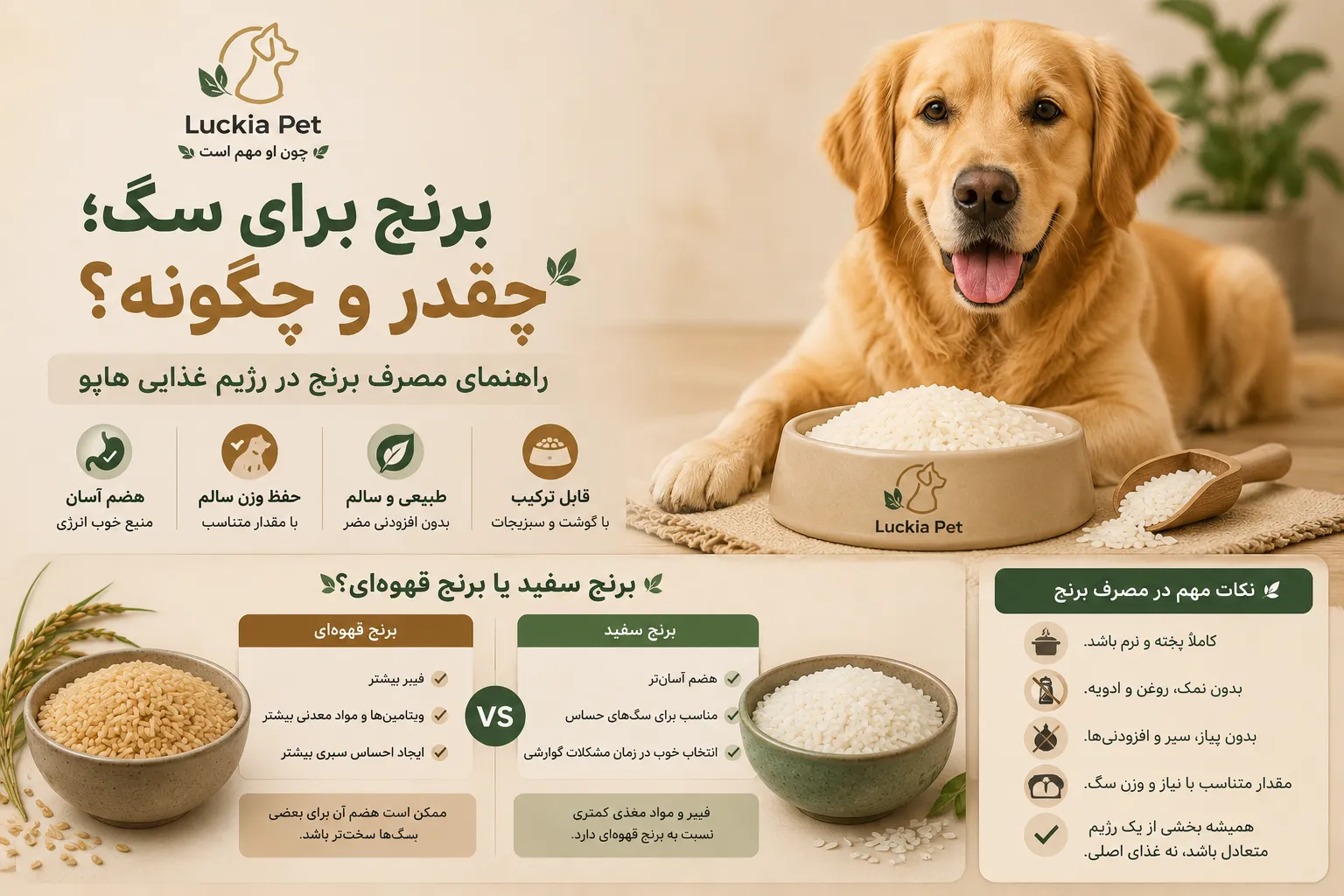 میزان مصرف برنج برای سگ