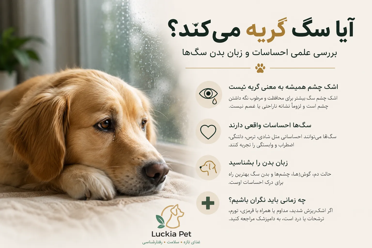 گریه سگ لوکیاپت